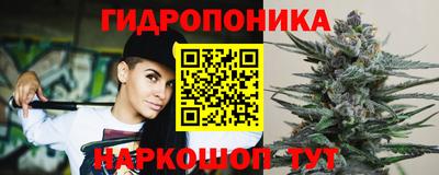 apvp Абакан