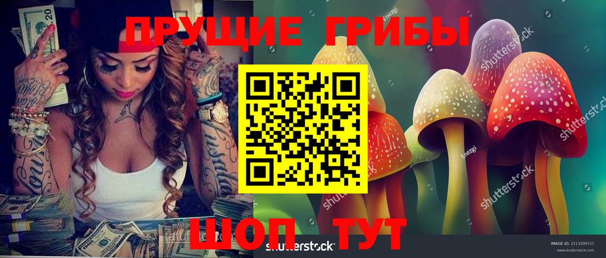 Псилоцибиновые грибы Psilocybine cubensis Алексеевка