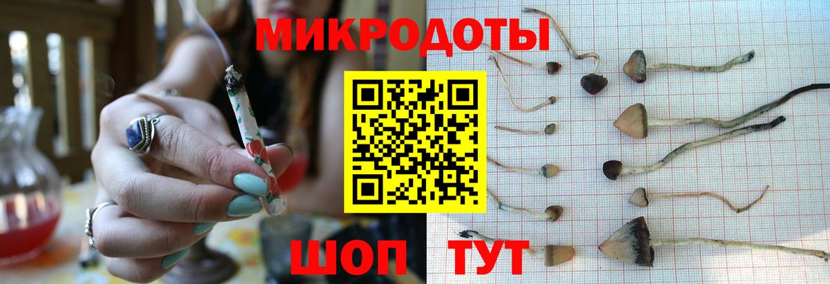 Алексеевка  Галлюциногенные грибы мухоморы  Вход с VPN 